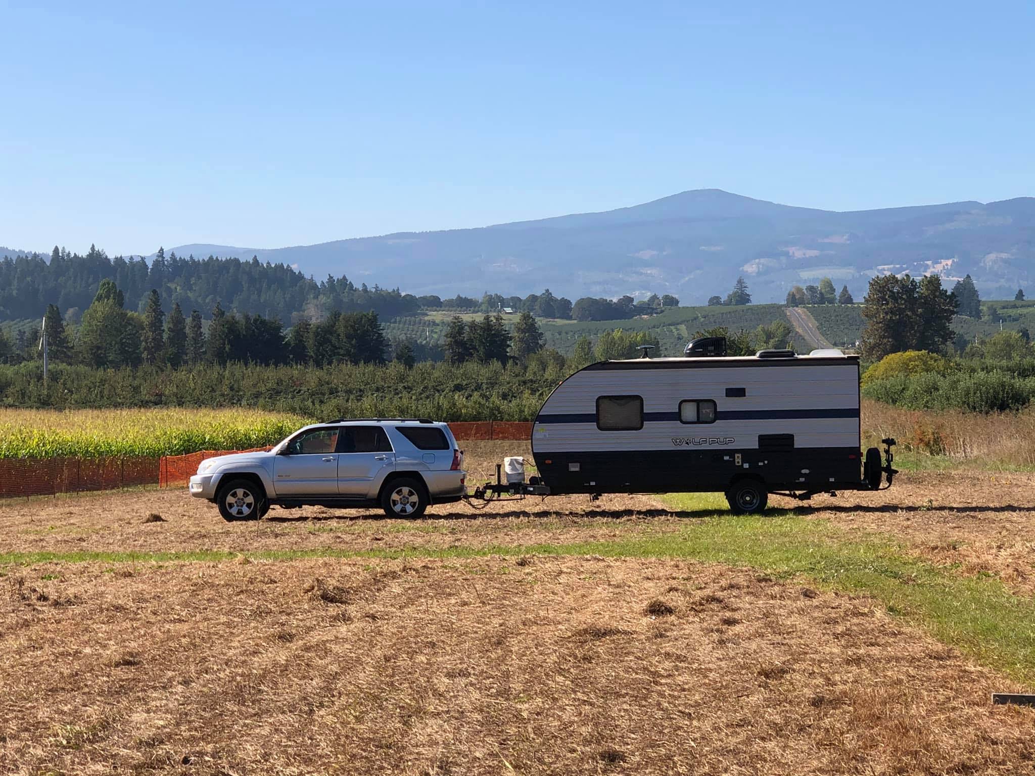 Toyota 4Runner SUV towing Forest River Wolfpup