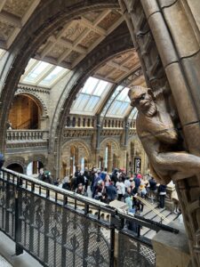 Natural History Museum - Hintze Hall